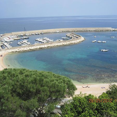 Albergo Miramare กาลาโกโนเน ภายนอก รูปภาพ